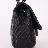 Ultra-Rare Chanel 2011 Lambskin Ladybug Classic Flap Bag