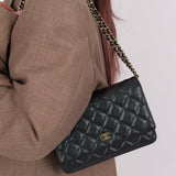 Rare Chanel 2019 Iridescent Caviar Wallet on Chain