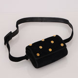 Rare Loewe Suede Coin Anagram Studded Waist Bag