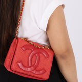 Chanel 1986 Raffia Timeless Mini Full Flap