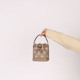 Louis Vuitton Monogram Leather Nano Noe