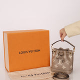 Louis Vuitton Monogram Leather Nano Noe