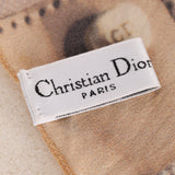 Dior Trotter Street Chic Bag Scarf