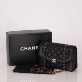 Rare Chanel 1997 Caviar Medium Diana