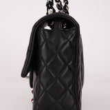 Ultra-Rare Chanel 2011 Lambskin Classic Medium Lady Bug Single Flap