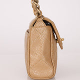 Ultra-Rare Chanel 2001 Iridescent Caviar Mini Half Flap