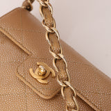 Ultra-Rare Chanel 2001 Iridescent Caviar Mini Half Flap