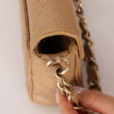 Ultra-Rare Chanel 2001 Iridescent Caviar Mini Half Flap