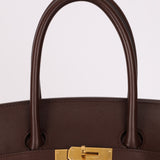 Hermès 2007 Terre Gulliver Retourne Birkin 35 GHW