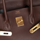 Hermès 2007 Terre Gulliver Retourne Birkin 35 GHW