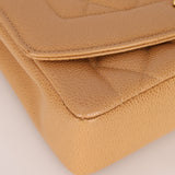 Rare Chanel 1995 Dark Beige Caviar Small Diana 24K GP