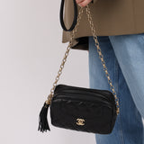 Rare Chanel 2019 Lambskin Bijoux Diana Camera Bag