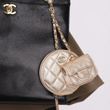 Chanel 2024 Calfskin Gold Multi Coin Purse and Micro Bag