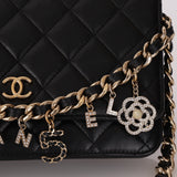 Chanel 2020 Coco Charms Wallet on Chain