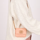 Chanel 19 Lambskin Cardholder Belt Bag