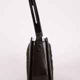 Celine Pony Hair Acyrlic Shoulder Bag