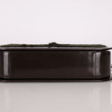 Celine Pony Hair Acyrlic Shoulder Bag