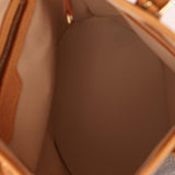 Louis Vuitton Monogram Bucket Bag with Louis Vuitton Mini Pouch