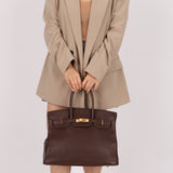 Hermès 2007 Terre Gulliver Retourne Birkin 35 GHW