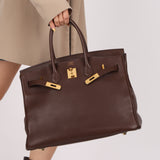 Hermès 2007 Terre Gulliver Retourne Birkin 35 GHW