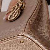 Dior 2014 Metallic Pebbled Leather Champagne Mini Diorissimo Tote