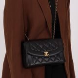 Rare Chanel 1998 Caviar Medium Diana