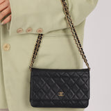 Chanel 2013 Caviar Wallet on Chain