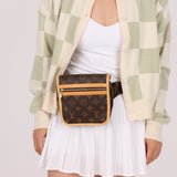 Louis Vuitton Bosphore Bum Bag