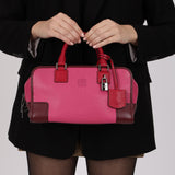 Loewe Tricolor Pink Chevre Amazona 28