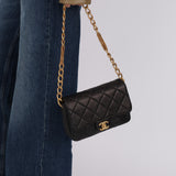 Chanel 2023 Enchanted Chain on Chain Flap Bag