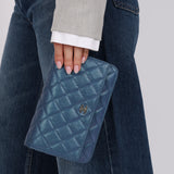 Chanel 2017 Iridescent Caviar Wallet on Chain