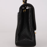 Rare Chanel Lambskin Chain Handle Mini Diana Flap Bag 24K GP