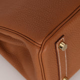 Hermès 2023 Gold Togo Birkin 25 Retourne GHW