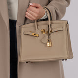 Hermès Birkin 25 Gris Tourterelle Togo 2018 GHW