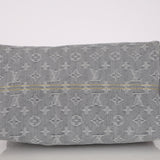 Louis Vuitton 2025 Gray Denim Speedy P9 30