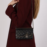 Chanel 2020 Lambskin Chain Curtain Wallet on Chain