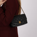 Ultra-Rare Chanel 1995 Caviar Small Diana Bag 24K GP