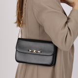 Celine Boxcalf Triomphe Chain Shoulder Bag