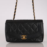 Ultra-Rare Chanel 1995 Caviar Small Diana Bag 24K GP