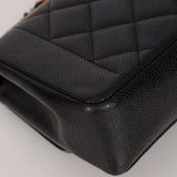 Ultra-Rare Chanel 1995 Caviar Small Diana Bag 24K GP