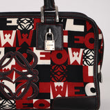 Limited Edition Loewe Logo Pop Amazona 28