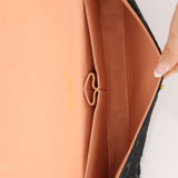 Chanel 2000 Black Pony Hair COCO East West Flap BGHW