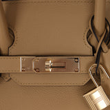 Limited Edition Hermès Shoulder Birkin Light 29 Poussière Evercolor Retourne 2025 PBHW