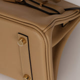 Limited Edition Hermès Shoulder Birkin Light 29 Poussière Evercolor Retourne 2025 PBHW