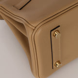 Limited Edition Hermès Shoulder Birkin Light 29 Poussière Evercolor Retourne 2025 PBHW