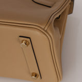 Limited Edition Hermès Shoulder Birkin Light 29 Poussière Evercolor Retourne 2025 PBHW