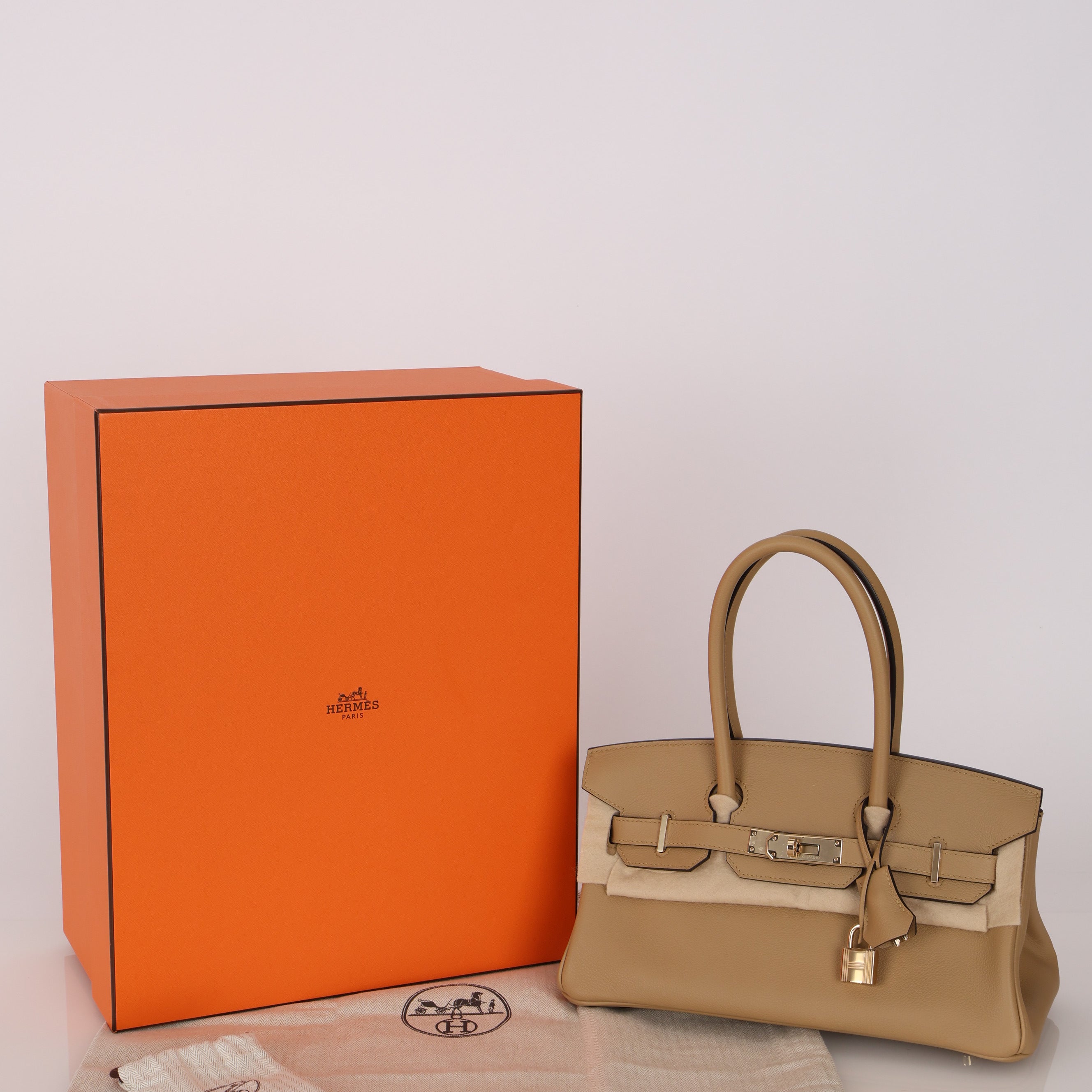 Limited Edition Hermès Shoulder Birkin Light 29 Poussière Evercolor Retourne 2025 PBHW