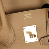 Limited Edition Hermès Shoulder Birkin Light 29 Poussière Evercolor Retourne 2025 PBHW