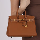 Hermès 2023 Gold Togo Birkin 25 Retourne GHW