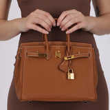 Hermès 2023 Gold Togo Birkin 25 Retourne GHW